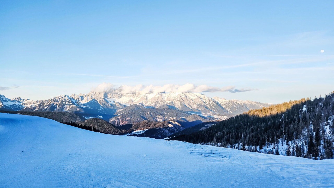 Photo of Others in Forstau
