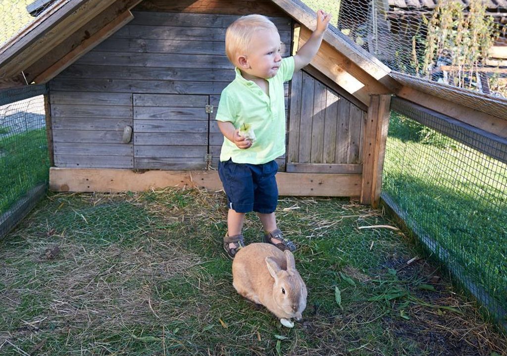 Photo of Others in Eben im Pongau