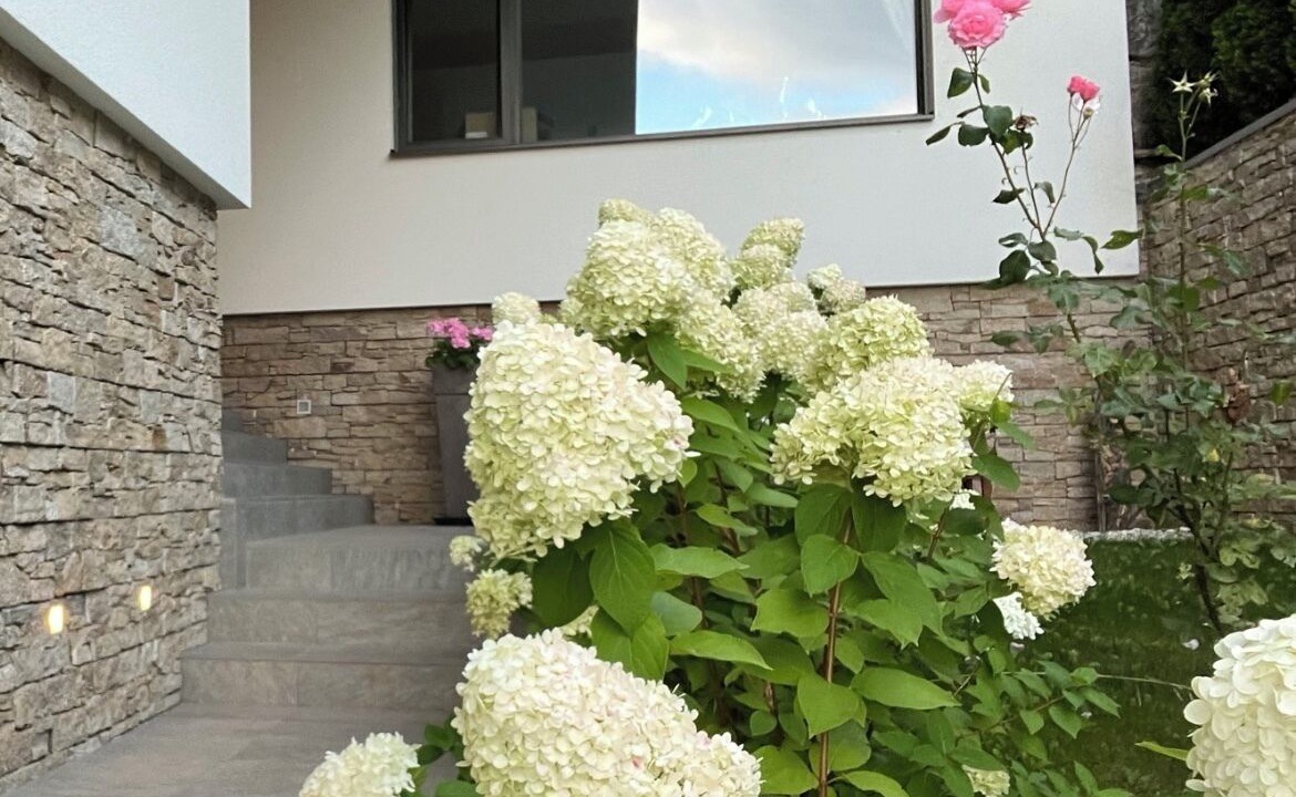 Photo of Outdoor in Forstau
