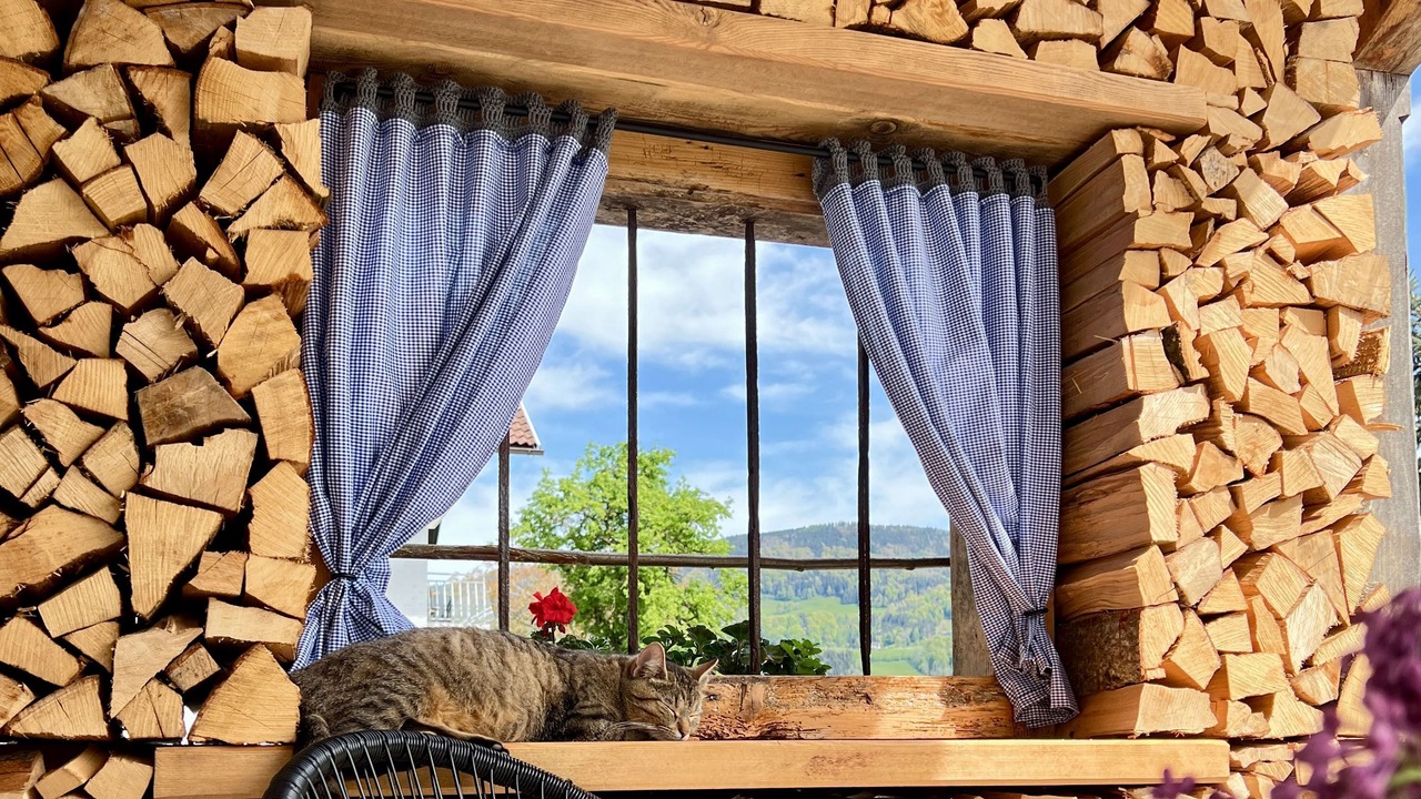 Photo of Outdoor in Sankt Lorenz