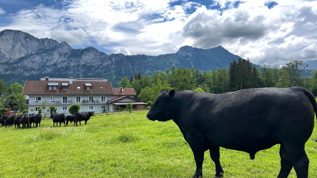 Photo of Others in Sankt Lorenz