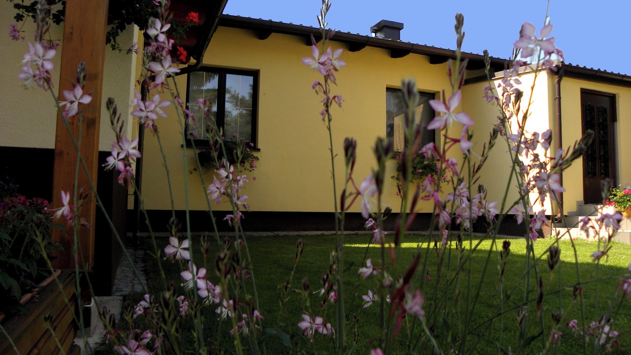 Photo of Outdoor in Sollenau