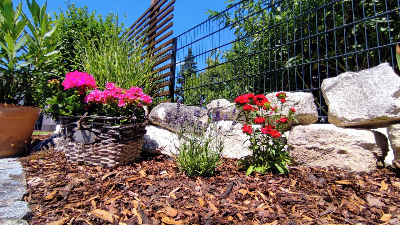 Photo of Outdoor in Sollenau