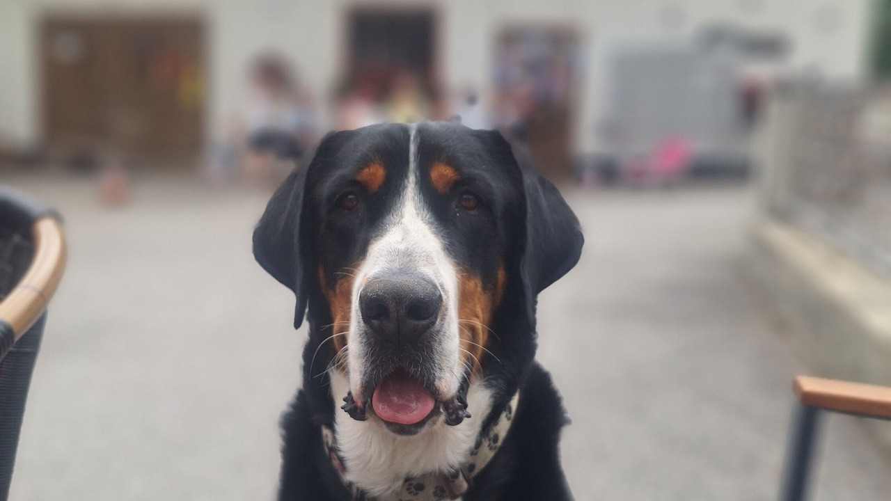 Photo of Others in Kaltenbach