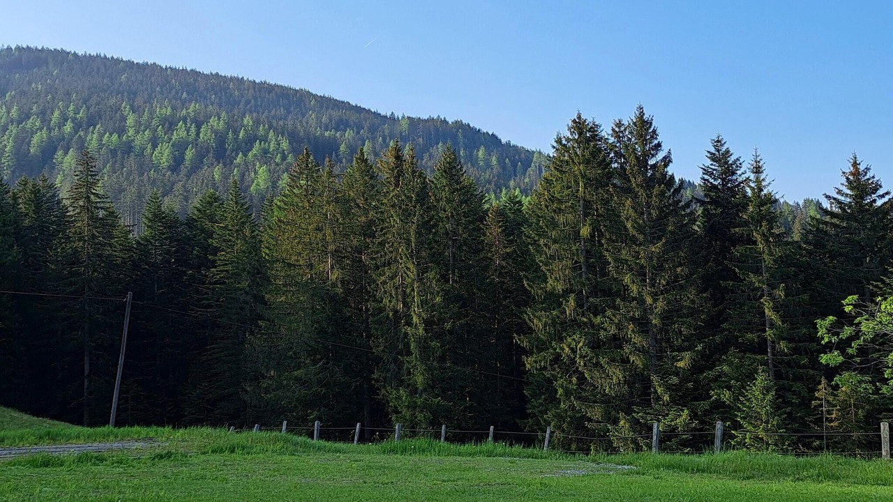 Photo of Others in Sankt Martin am Tennengebirge