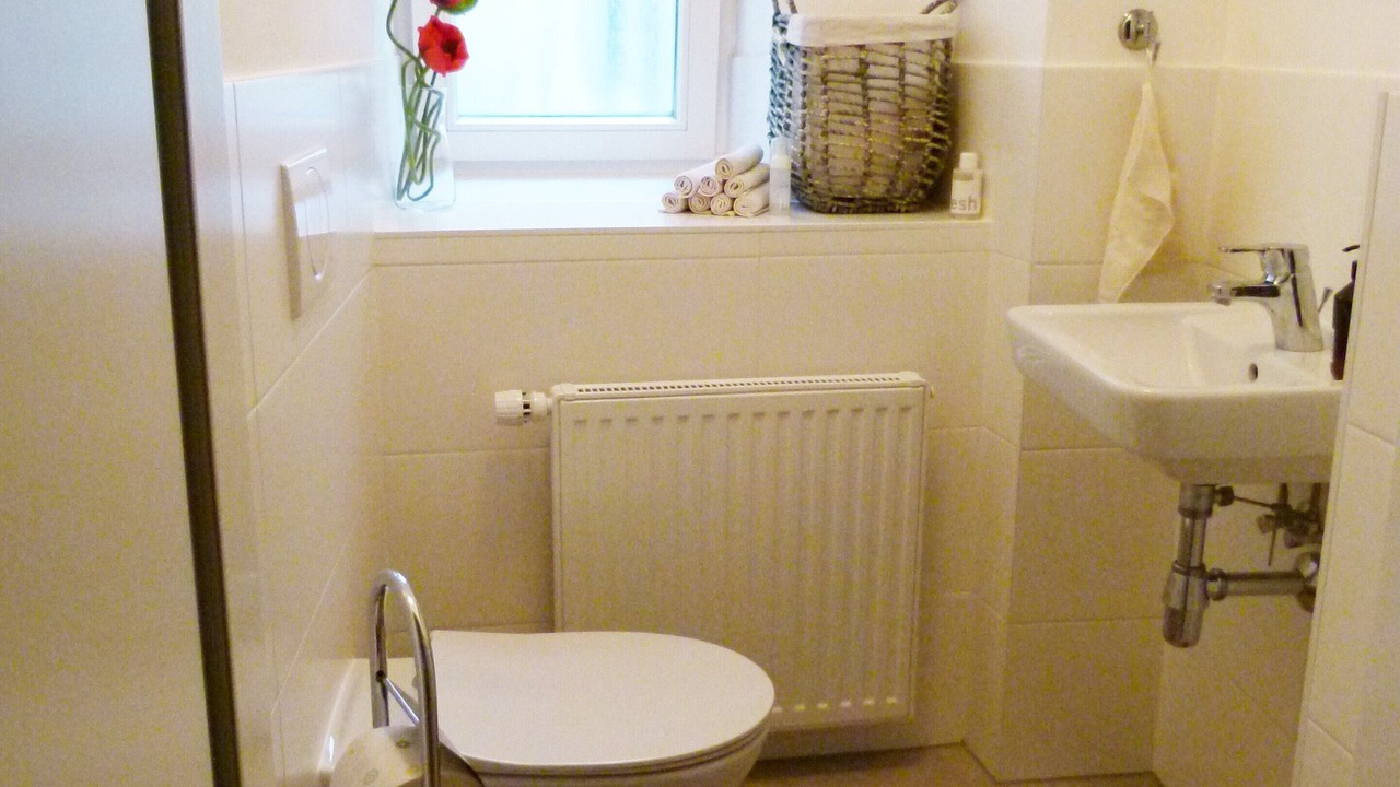 Photo of Bathroom in Graz City Centre