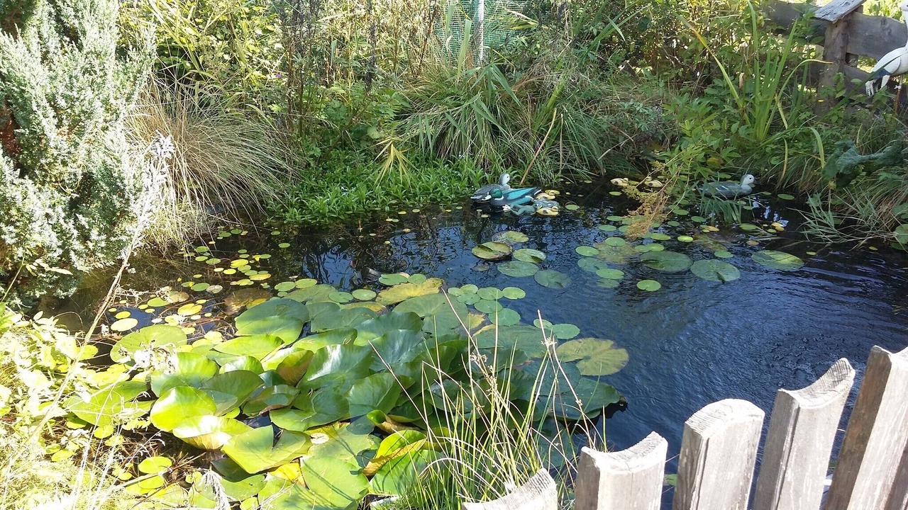 Photo of Outdoor in Einach