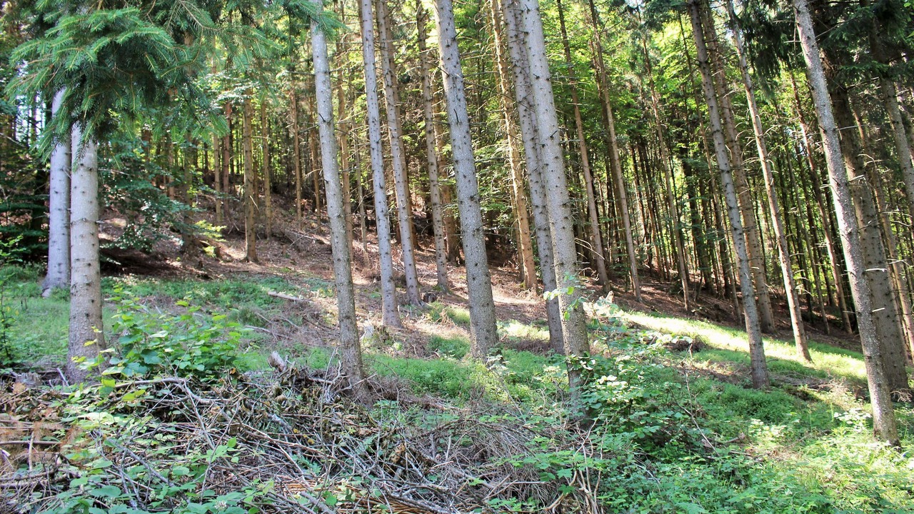 Photo of Others in Kottmannsdorf