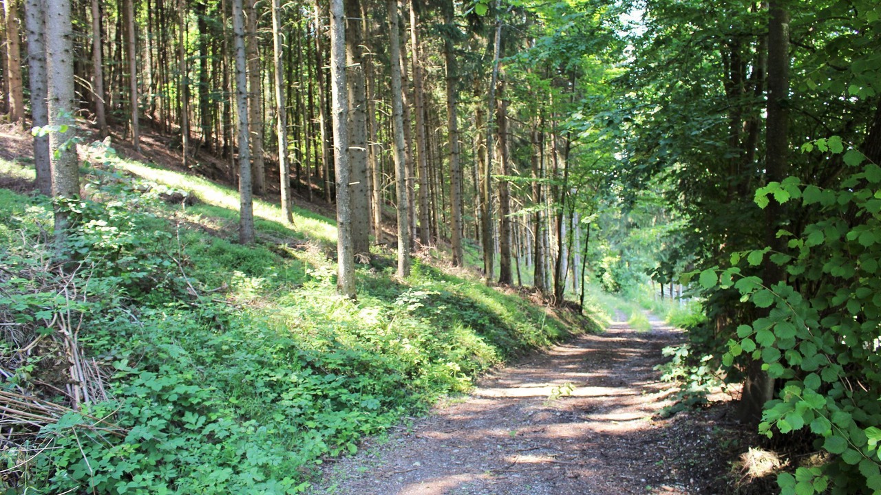 Photo of Others in Kottmannsdorf