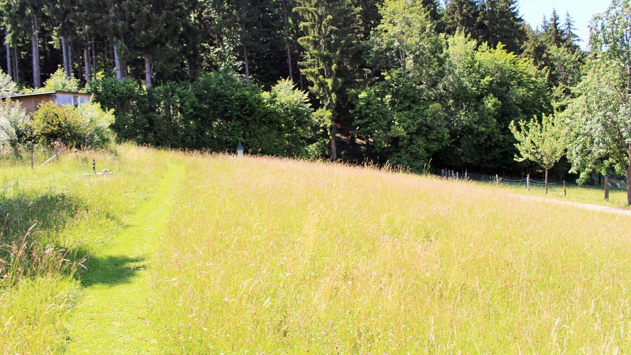 Photo of Outdoor in Kottmannsdorf