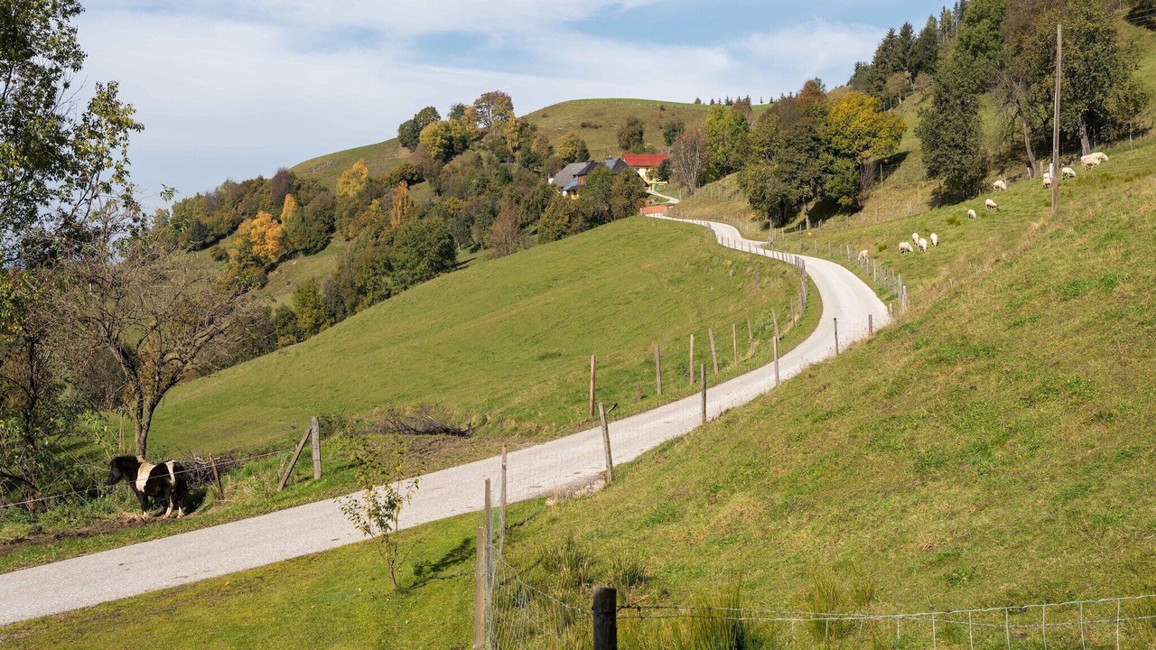Photo of Others in Eberstein