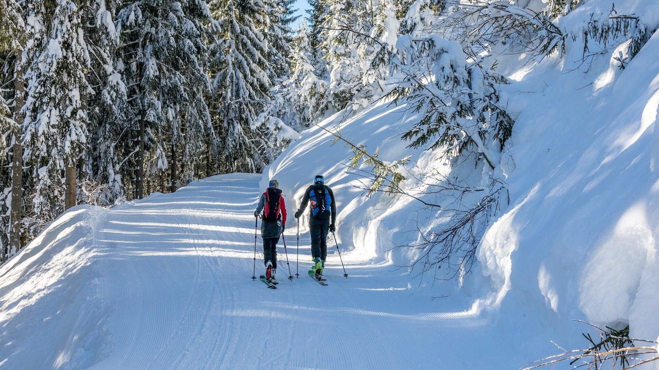 Photo of Others in Schonbach