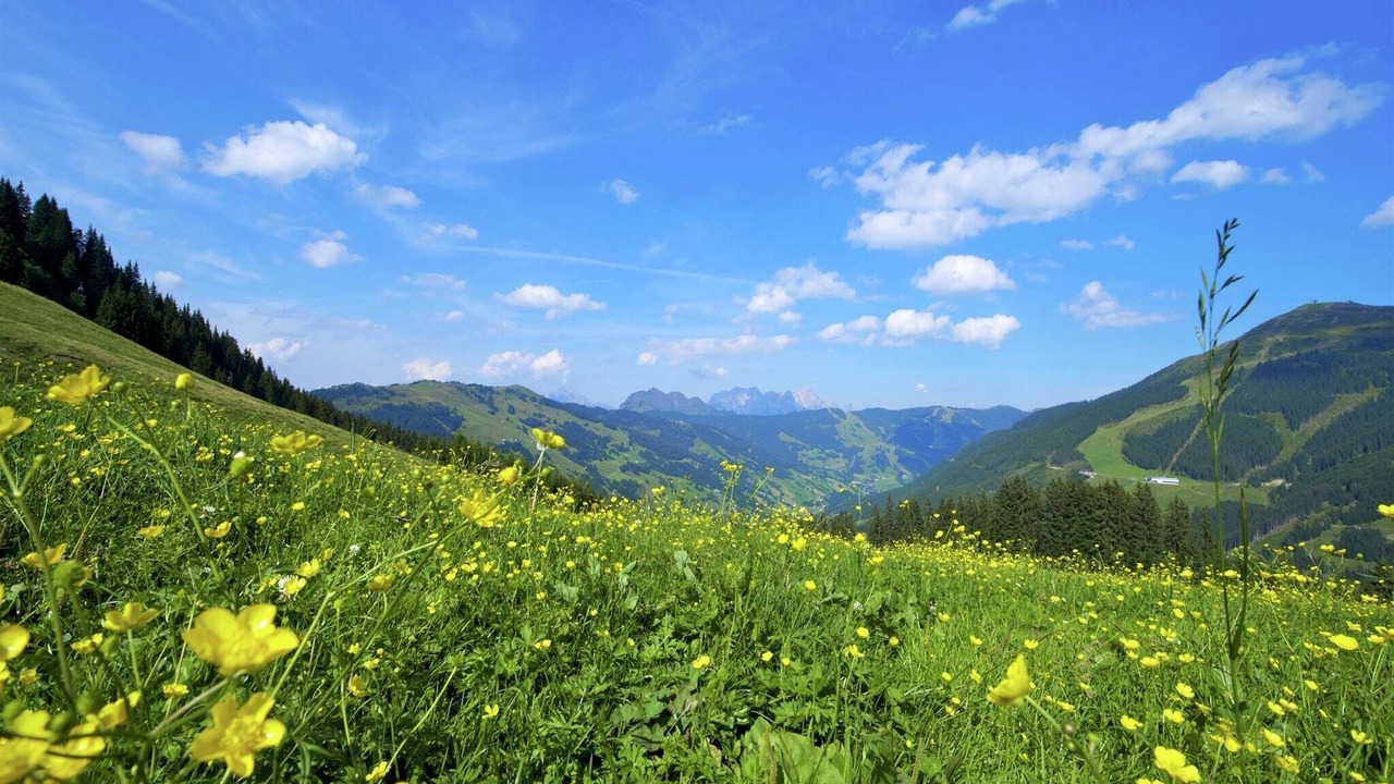 Photo of Others in Vorderglemm