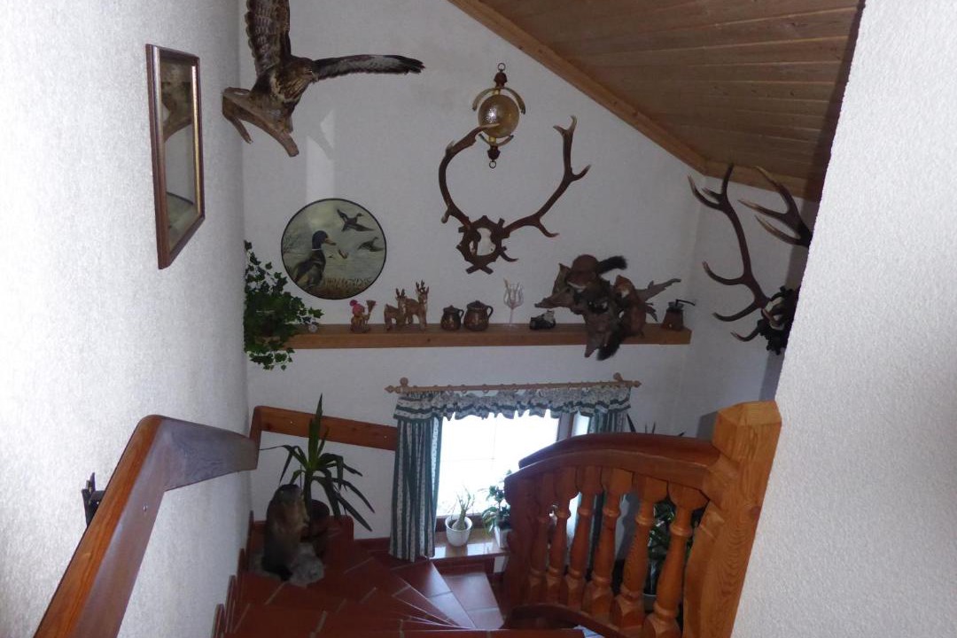 Photo of Others in Gosau-Hintertal