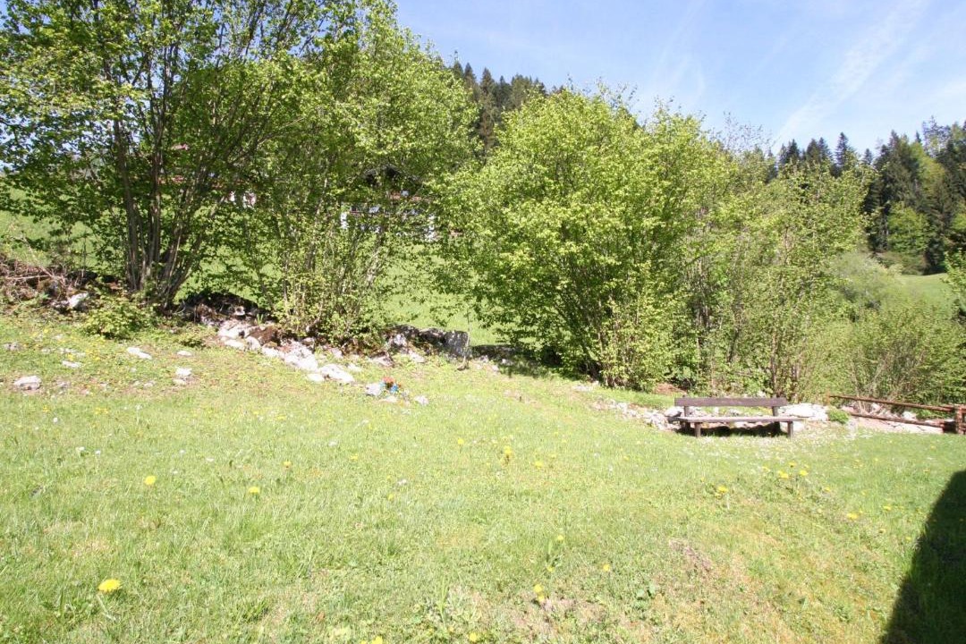 Photo of Others in Niederndorferberg