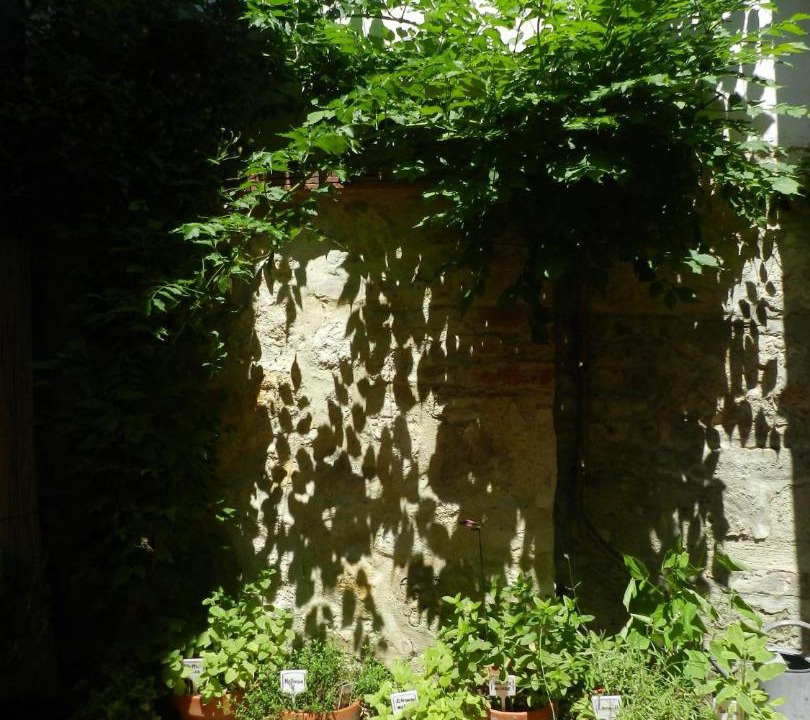 Photo of Others in Morbisch am See
