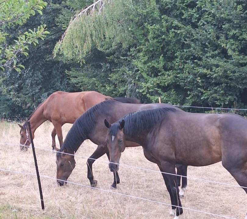 Photo of Others in Eichberg-Trautenburg