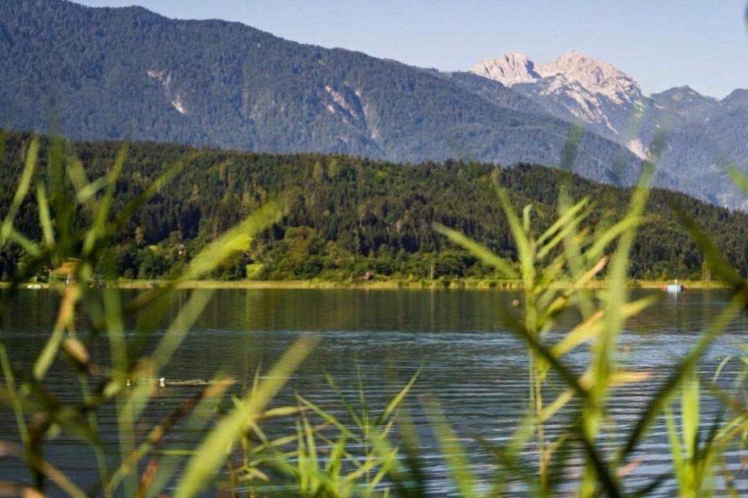 Photo of Others in Lake Pressegger