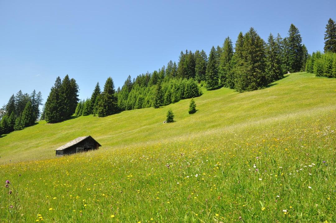 Photo of Others in Schattwald