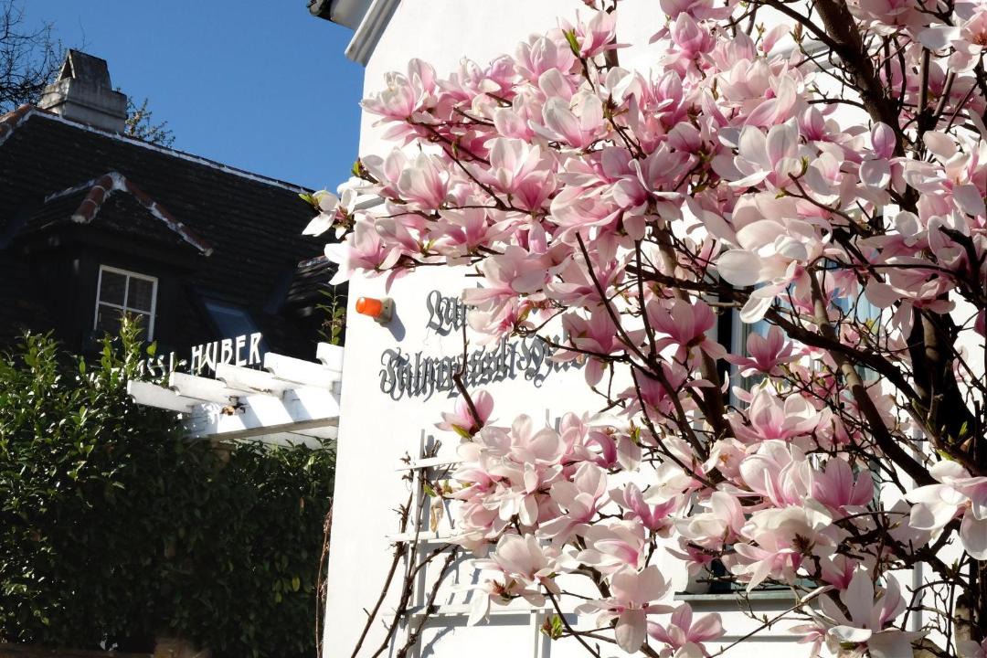 Photo of Others in Neustift Am Walde