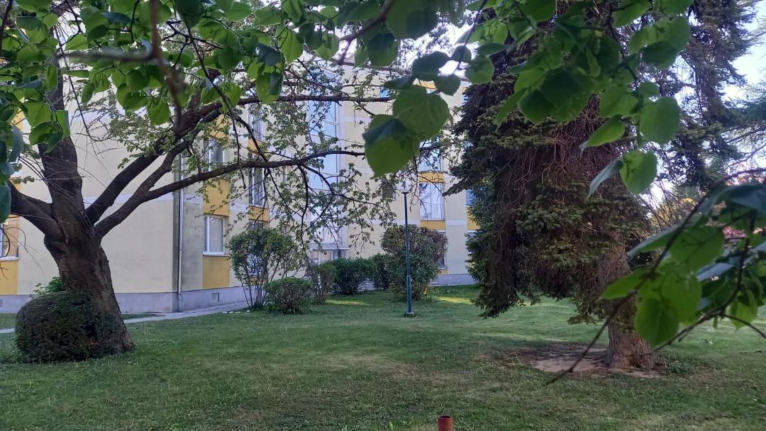 Photo of Others in Ebenfurth