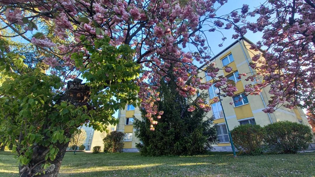 Photo of Others in Ebenfurth