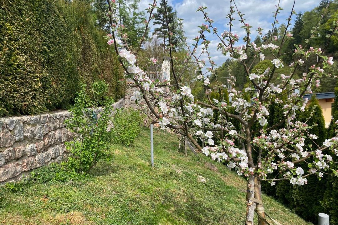 Photo of Others in Gallzein