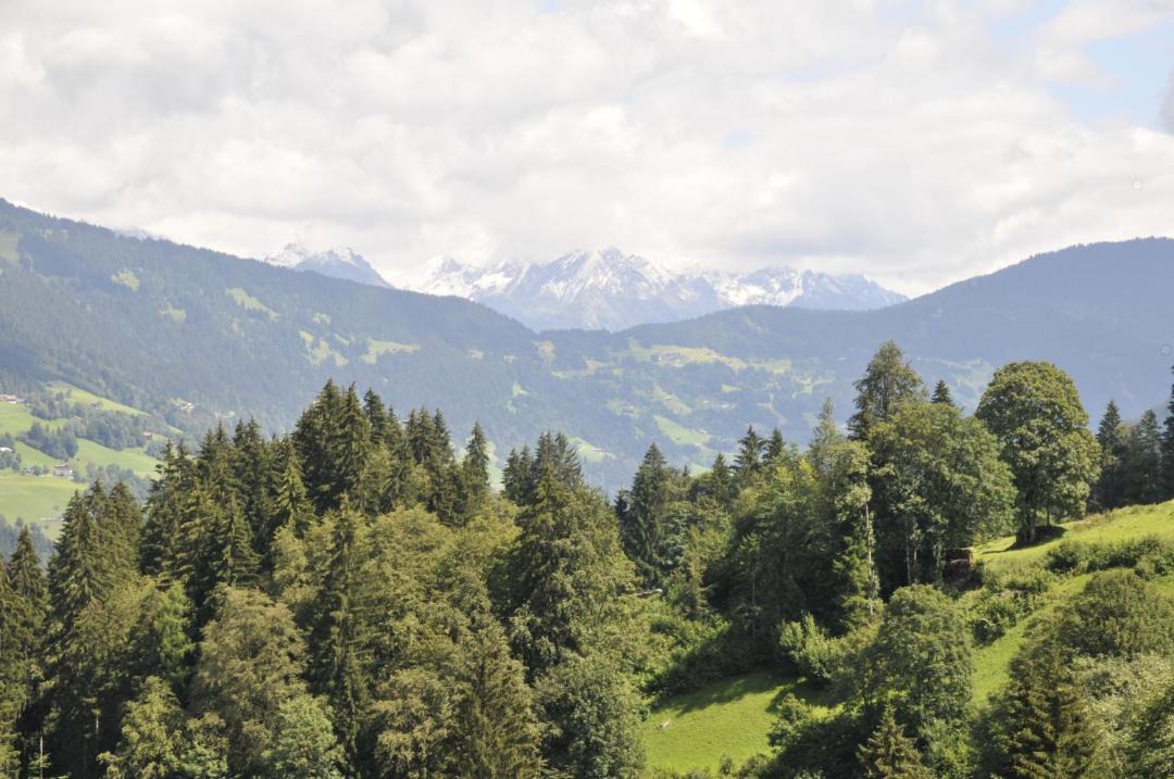 Photo of Others in Gauertal
