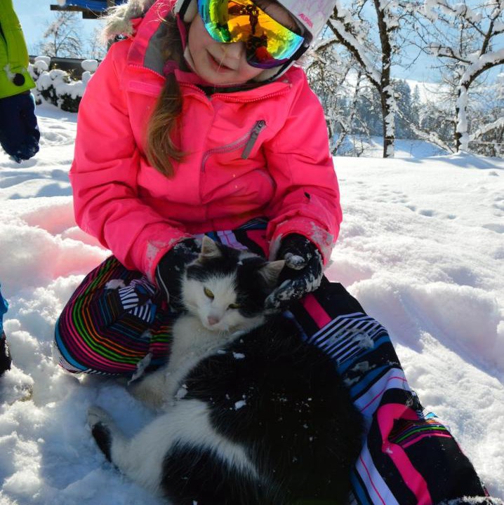 Photo of Others in Sankt Veit im Pongau