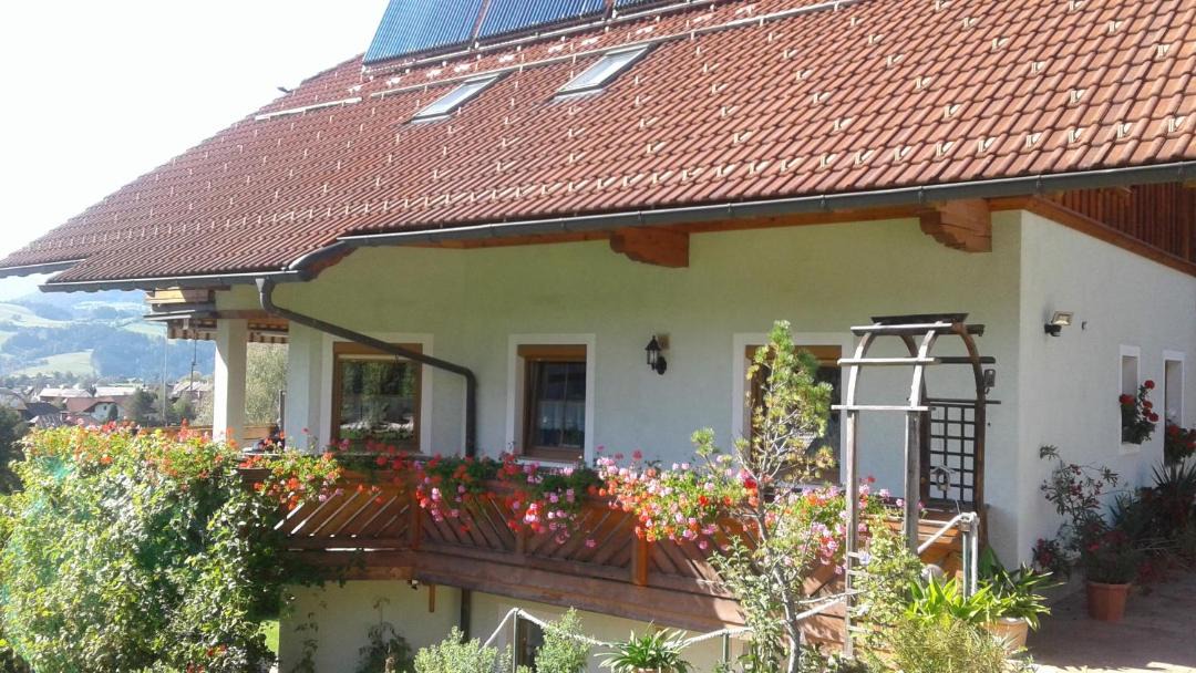 Photo of Others in Windischgarsten