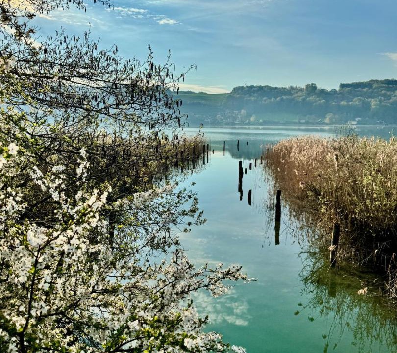 Photo of Others in Mattsee
