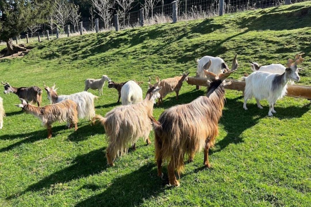Photo of Outdoor in Neumarkt in Steiermark