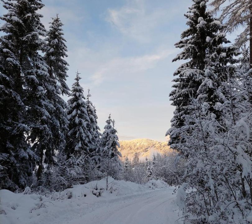 Photo of Others in Neumarkt in Steiermark