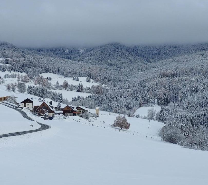Photo of Others in Neumarkt in Steiermark