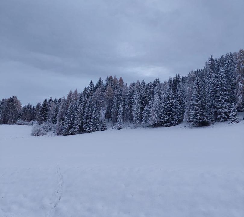 Photo of Others in Neumarkt in Steiermark