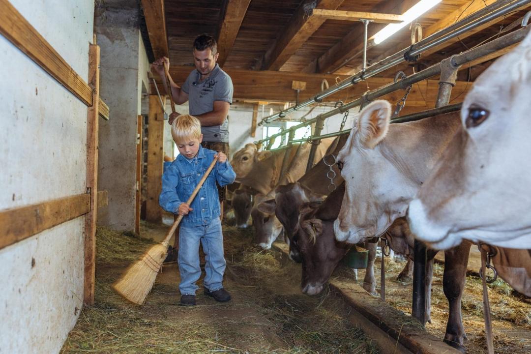 Photo of Others in Lesachtal