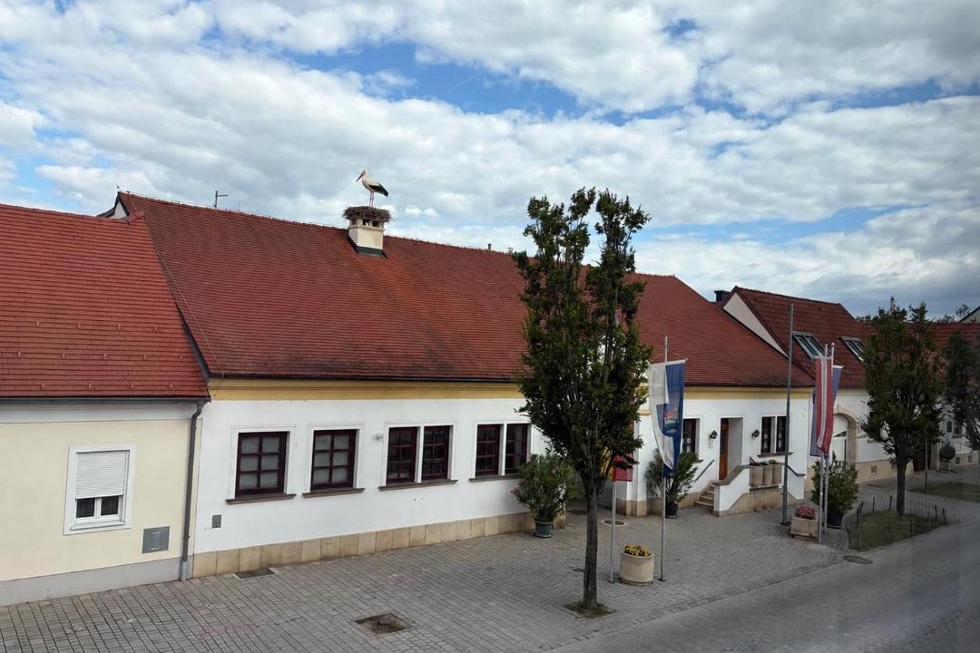 Photo of Buildings in Morbisch am See