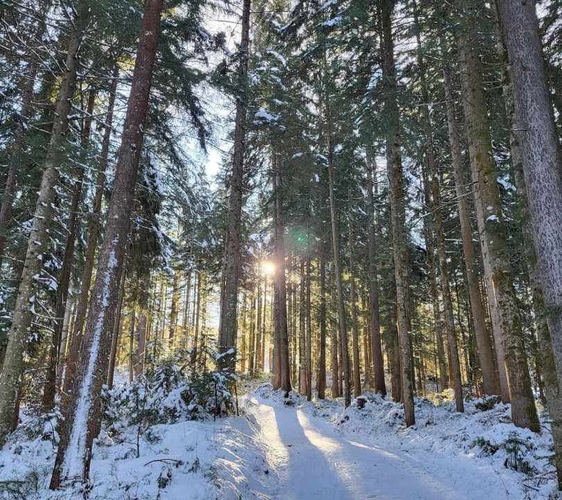 Photo of Others in Fieberbrunn