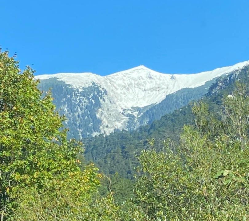 Photo of Outdoor in Schwarzau im Gebirge