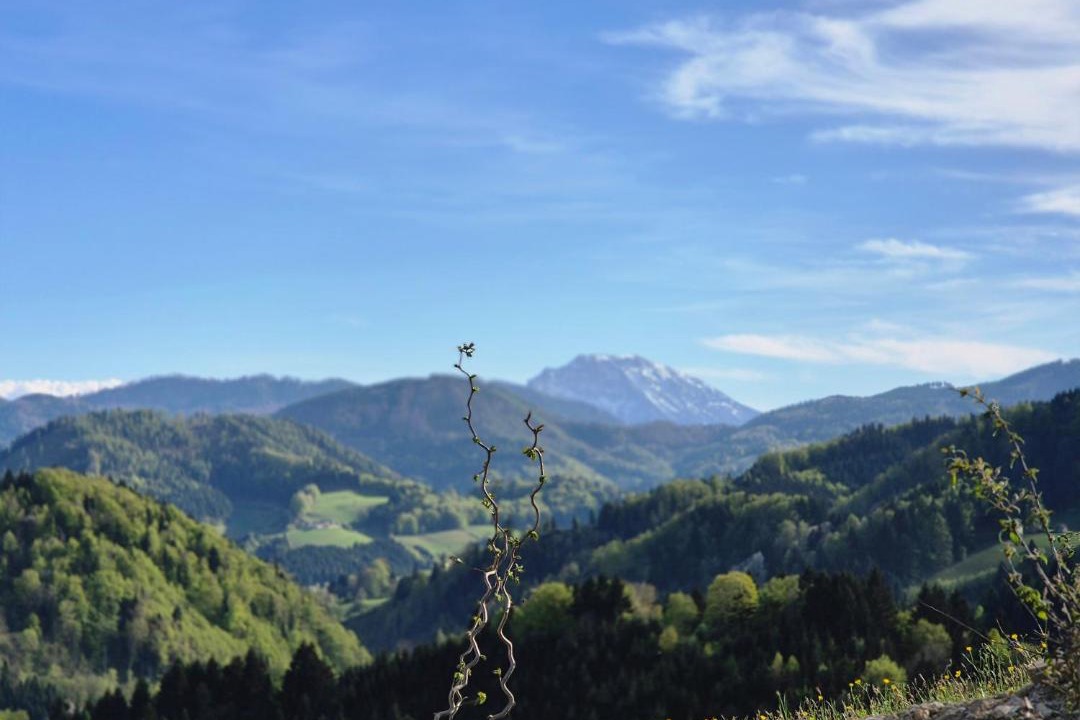 Photo of Others in Frankenfels