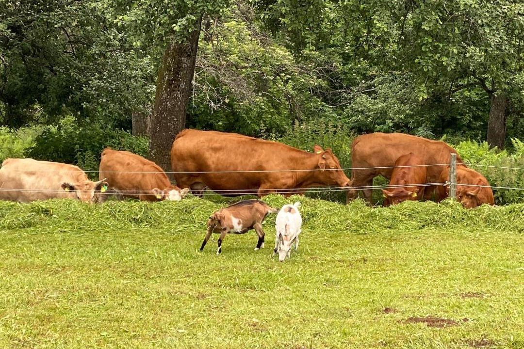 Photo of Others in Schwanberg