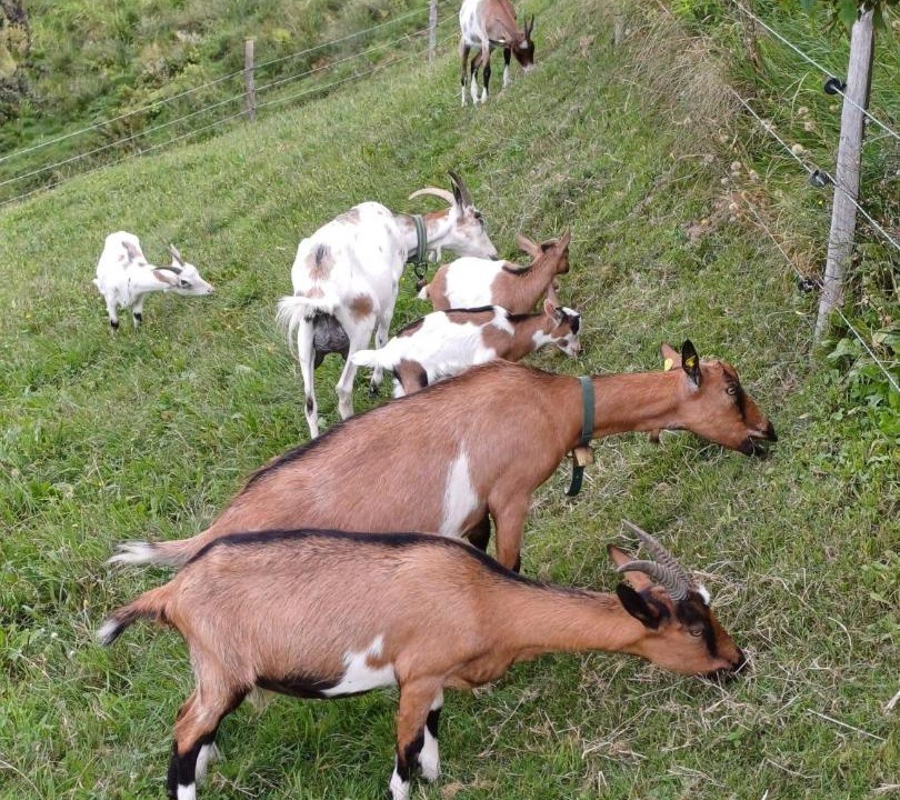 Photo of Others in Schwanberg