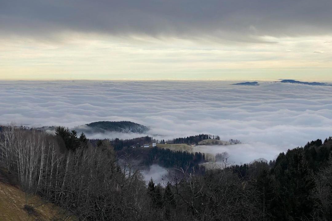 Photo of Others in Schwanberg