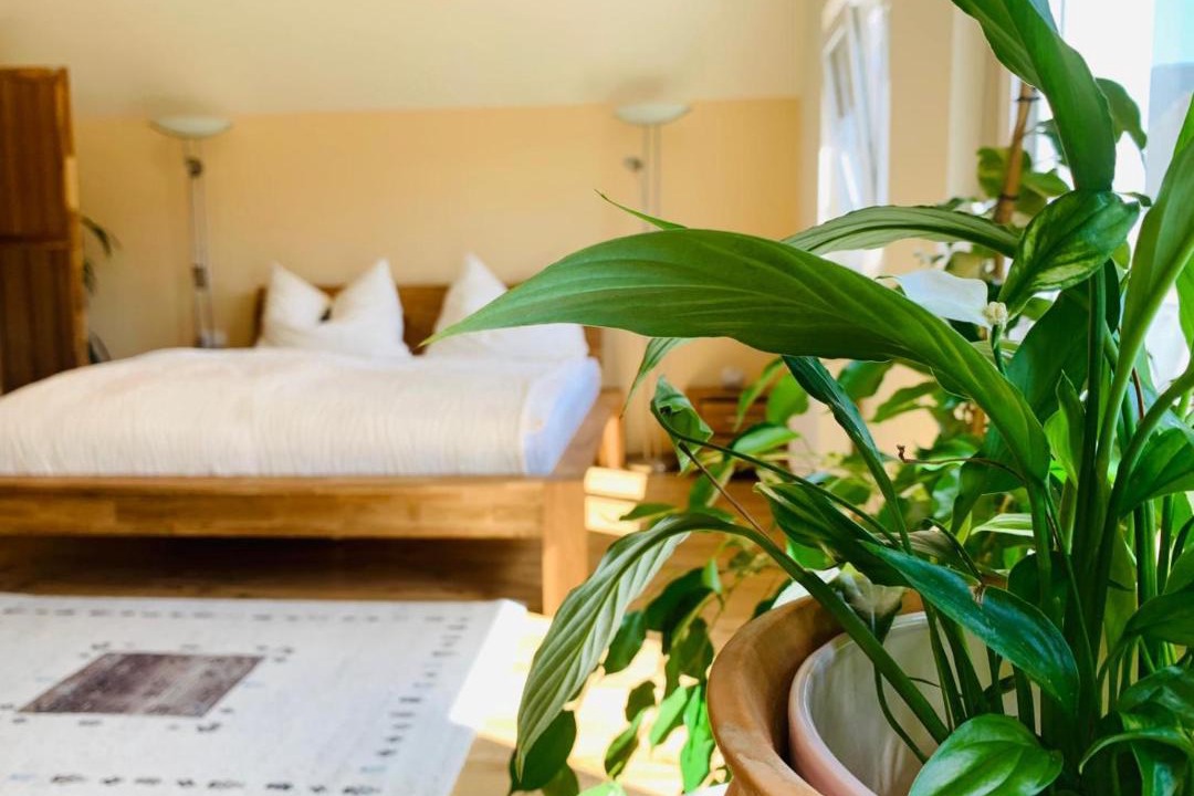Photo of Bedroom in Leitendorf