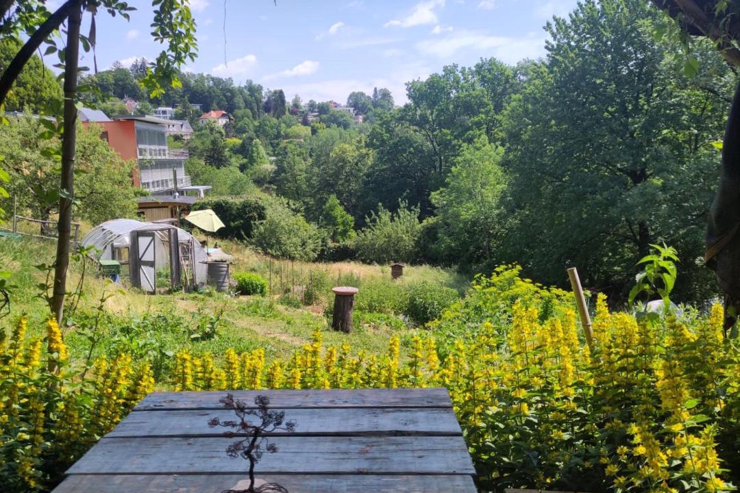 Photo of Others in Andritz