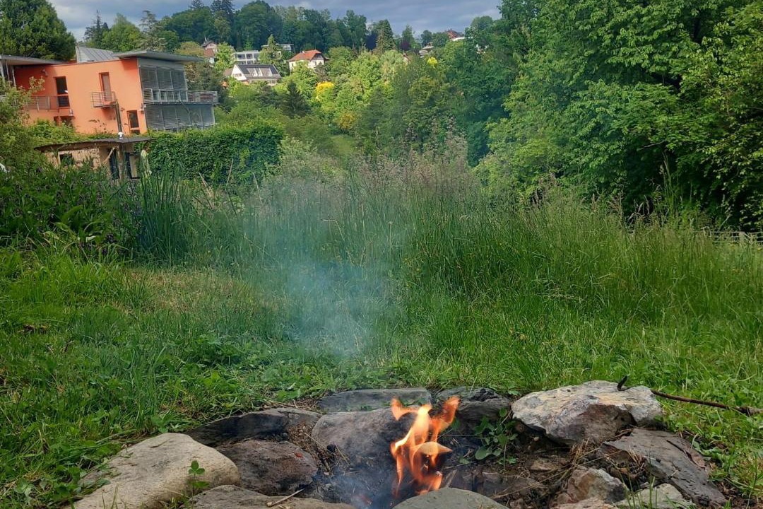 Photo of Others in Andritz