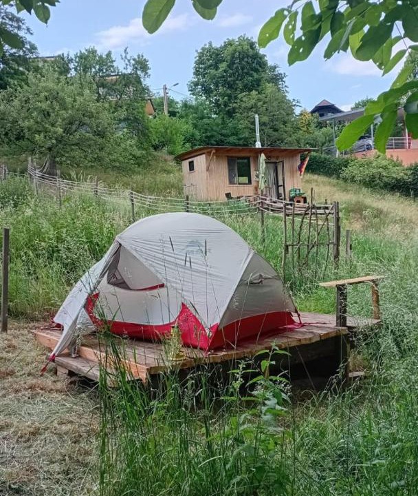 Photo of Others in Andritz