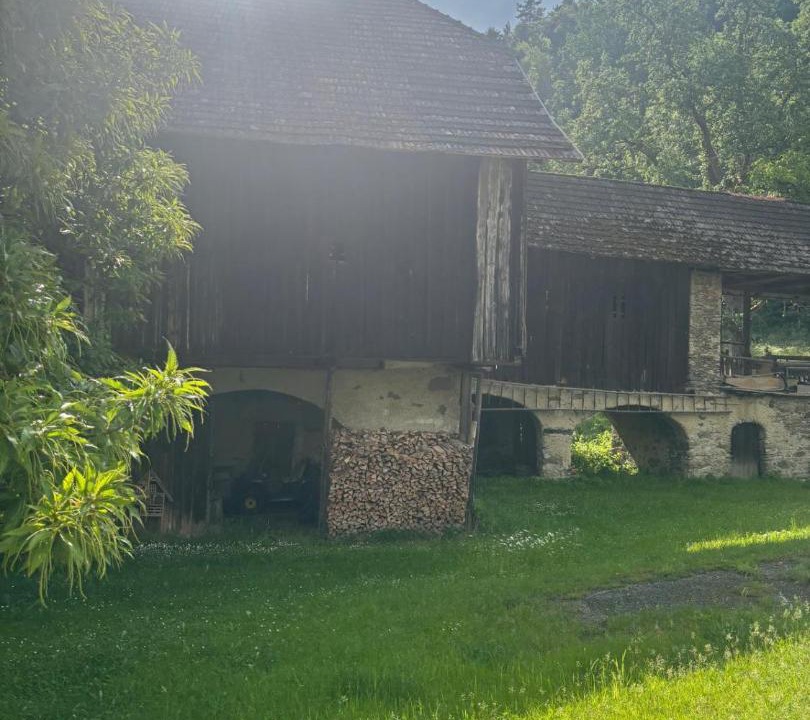 Photo of Others in Reifnitz