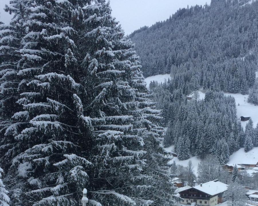 Photo of Others in Kirchberg in Tirol