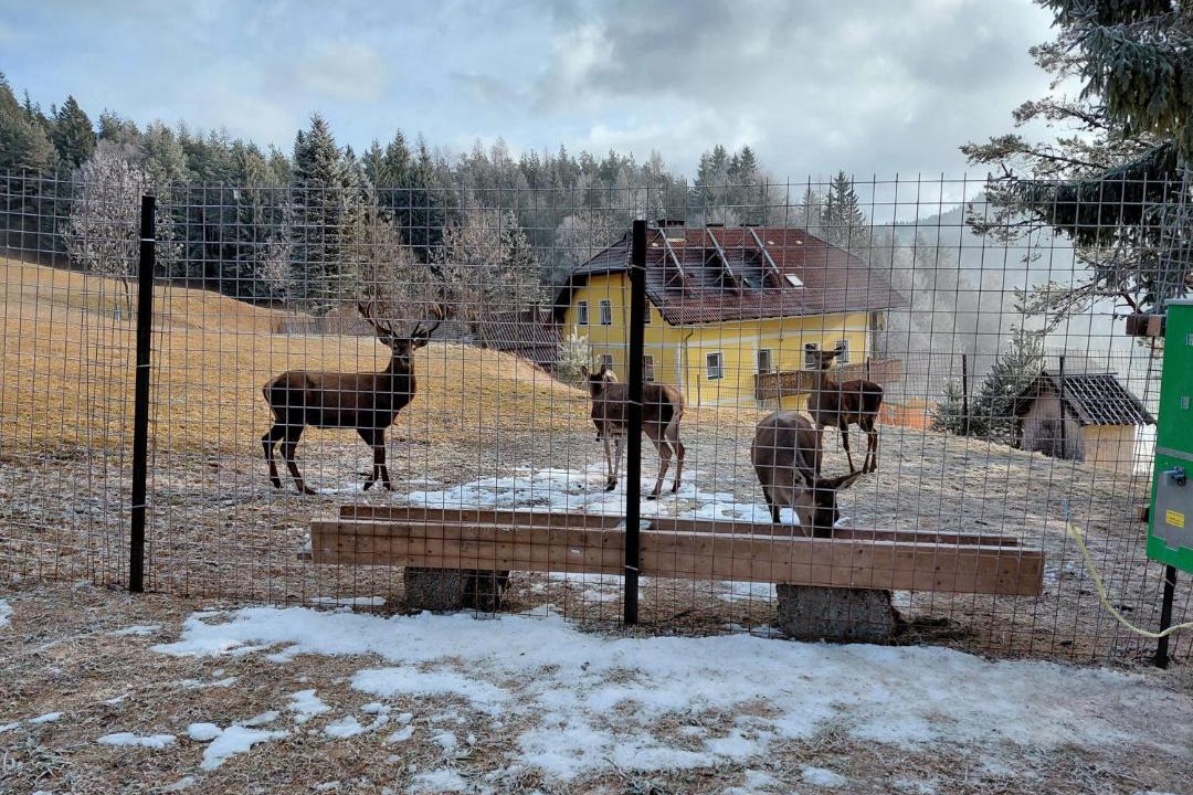 Photo of Others in Ferlach